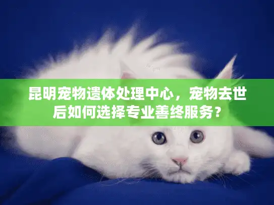 昆明宠物遗体处理中心，宠物去世后如何选择专业善终服务？