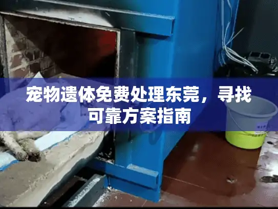 宠物遗体免费处理东莞，寻找可靠方案指南