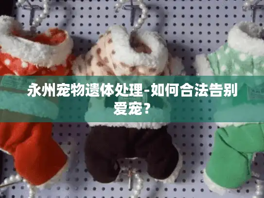 永州宠物遗体处理-如何合法告别爱宠？