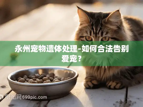 永州宠物遗体处理-如何合法告别爱宠？