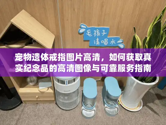 宠物遗体戒指图片高清，如何获取真实纪念品的高清图像与可靠服务指南