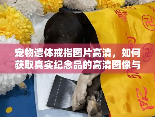 宠物遗体戒指图片高清，如何获取真实纪念品的高清图像与可靠服务指南