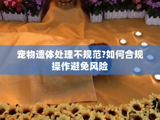 宠物遗体处理不规范?如何合规操作避免风险