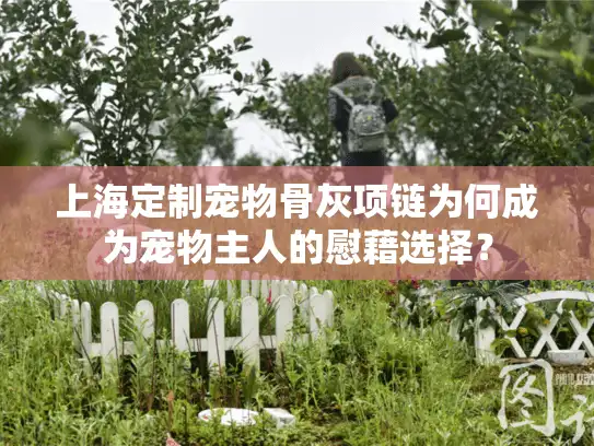 上海定制宠物骨灰项链为何成为宠物主人的慰藉选择？