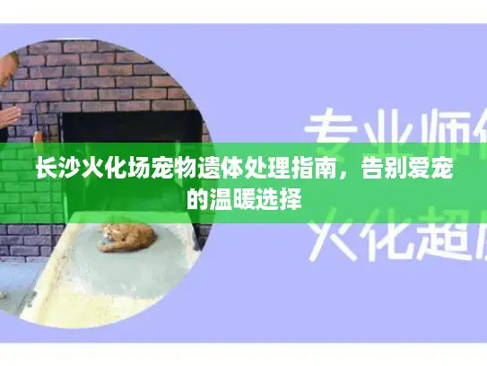 长沙火化场宠物遗体处理指南，告别爱宠的温暖选择