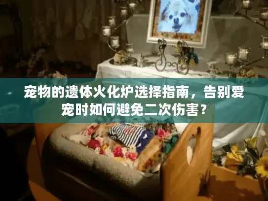宠物的遗体火化炉选择指南，告别爱宠时如何避免二次伤害？