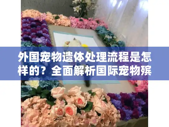 外国宠物遗体处理流程是怎样的？全面解析国际宠物殡葬服务选择