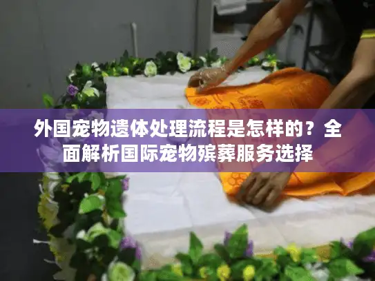 外国宠物遗体处理流程是怎样的？全面解析国际宠物殡葬服务选择