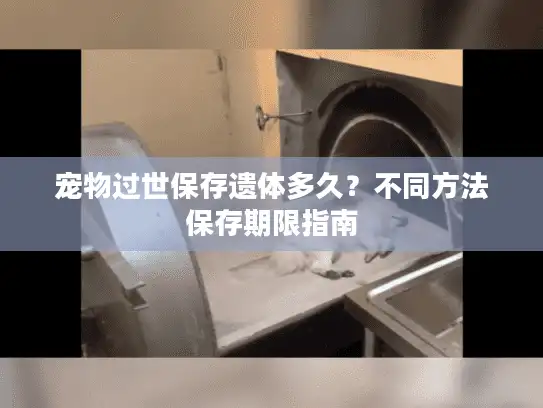 宠物过世保存遗体多久？不同方法保存期限指南