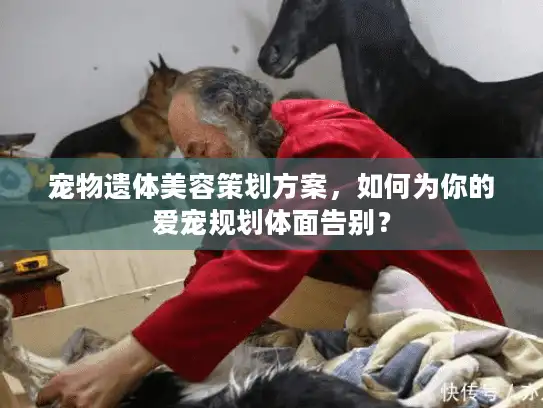 宠物遗体美容策划方案，如何为你的爱宠规划体面告别？