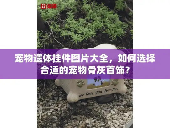 宠物遗体挂件图片大全，如何选择合适的宠物骨灰首饰？
