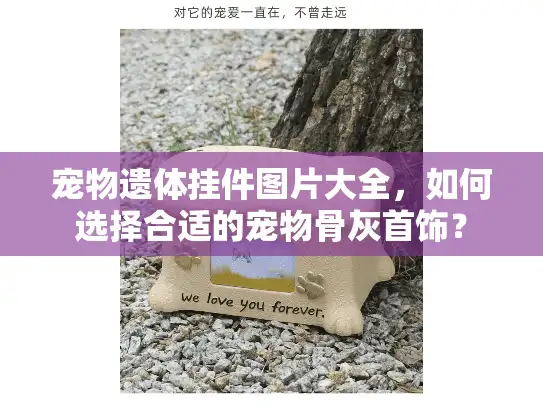 宠物遗体挂件图片大全，如何选择合适的宠物骨灰首饰？