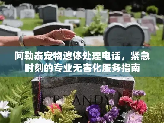 阿勒泰宠物遗体处理电话，紧急时刻的专业无害化服务指南