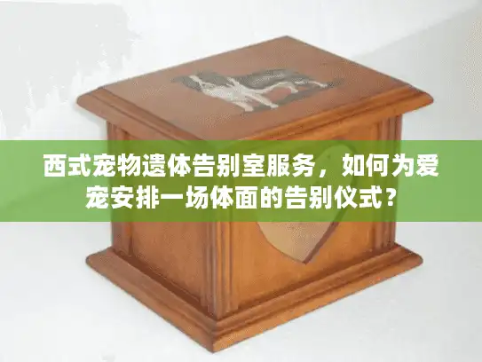 西式宠物遗体告别室服务，如何为爱宠安排一场体面的告别仪式？