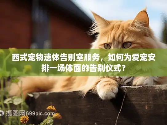 西式宠物遗体告别室服务，如何为爱宠安排一场体面的告别仪式？