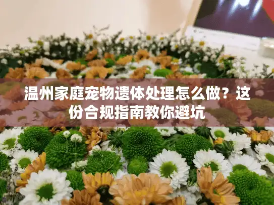 温州家庭宠物遗体处理怎么做？这份合规指南教你避坑