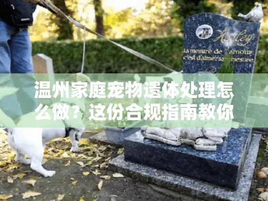 温州家庭宠物遗体处理怎么做？这份合规指南教你避坑