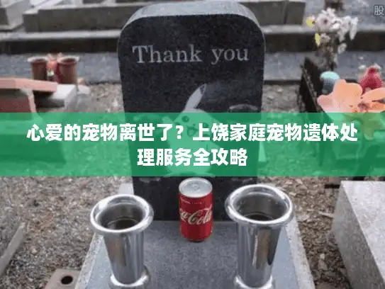 心爱的宠物离世了？上饶家庭宠物遗体处理服务全攻略