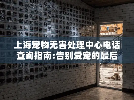 上海宠物无害处理中心电话查询指南:告别爱宠的最后一程服务流程