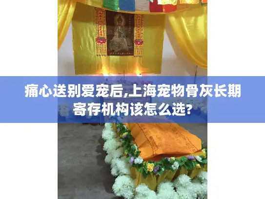 痛心送别爱宠后,上海宠物骨灰长期寄存机构该怎么选?
