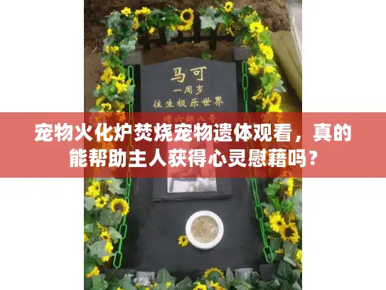 宠物火化炉焚烧宠物遗体观看，真的能帮助主人获得心灵慰藉吗？