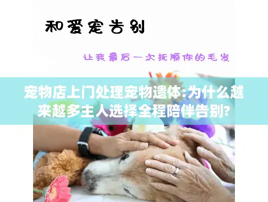 宠物店上门处理宠物遗体:为什么越来越多主人选择全程陪伴告别?