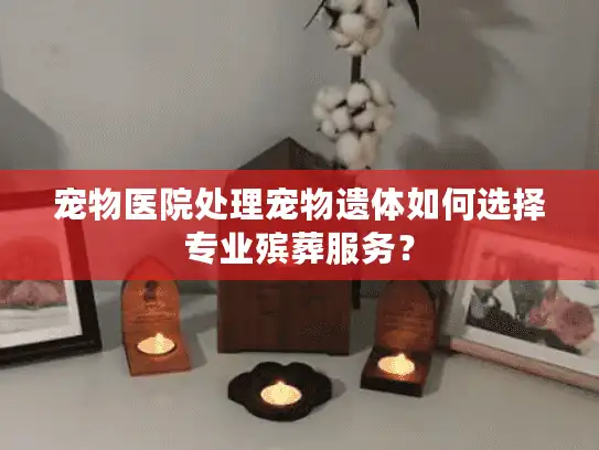 宠物医院处理宠物遗体如何选择专业殡葬服务？