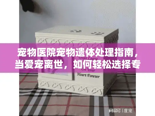 宠物医院宠物遗体处理指南，当爱宠离世，如何轻松选择专业服务？
