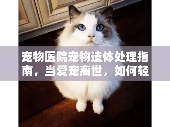 宠物医院宠物遗体处理指南，当爱宠离世，如何轻松选择专业服务？