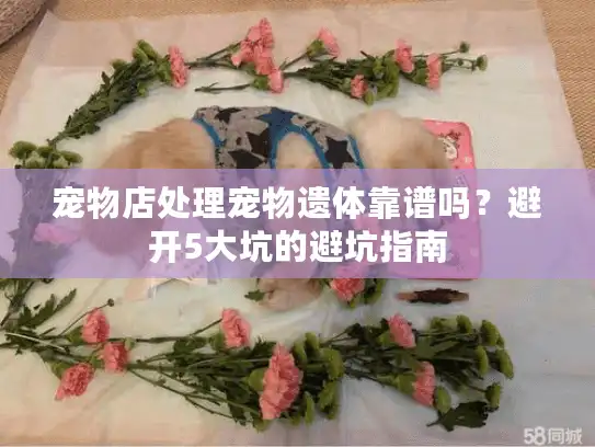 宠物店处理宠物遗体靠谱吗？避开5大坑的避坑指南