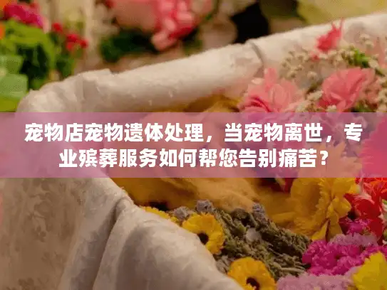 宠物店宠物遗体处理，当宠物离世，专业殡葬服务如何帮您告别痛苦？