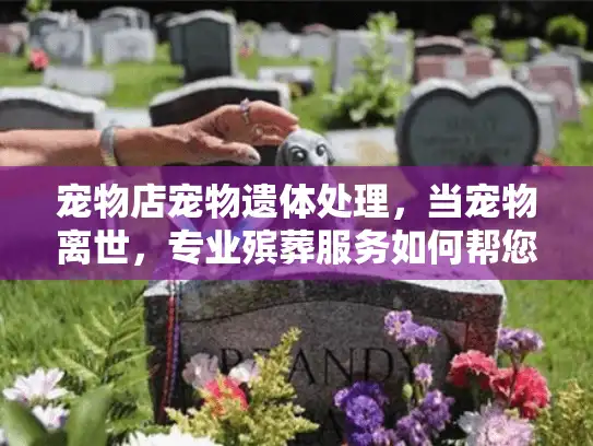 宠物店宠物遗体处理，当宠物离世，专业殡葬服务如何帮您告别痛苦？