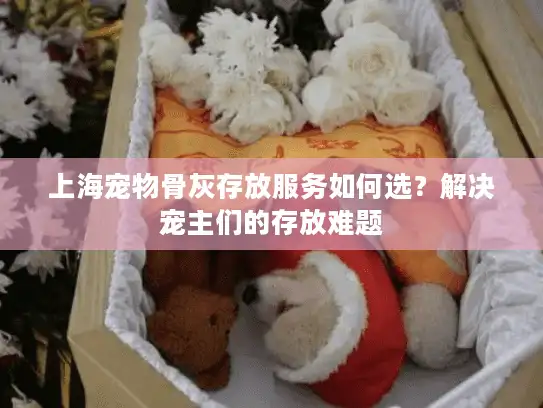 上海宠物骨灰存放服务如何选？解决宠主们的存放难题