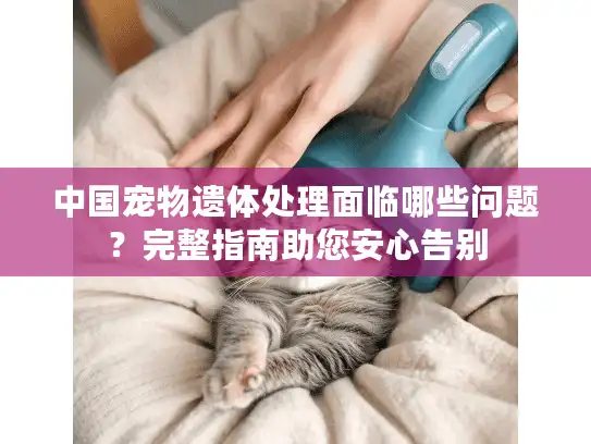 中国宠物遗体处理面临哪些问题？完整指南助您安心告别