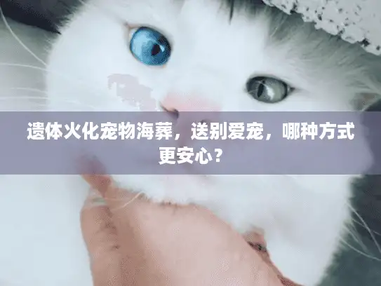 遗体火化宠物海葬，送别爱宠，哪种方式更安心？