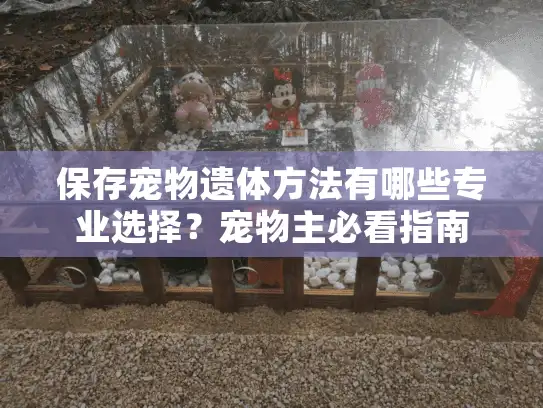 保存宠物遗体方法有哪些专业选择？宠物主必看指南