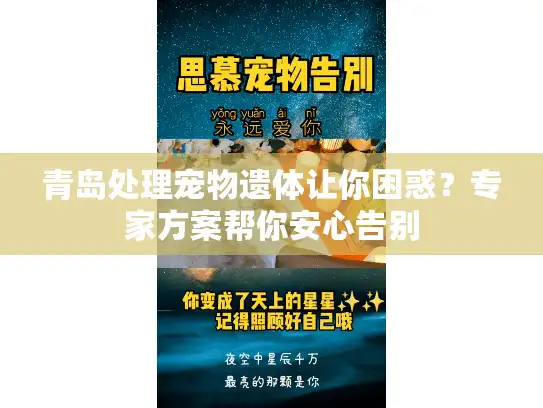 青岛处理宠物遗体让你困惑？专家方案帮你安心告别