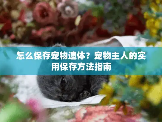 怎么保存宠物遗体？宠物主人的实用保存方法指南