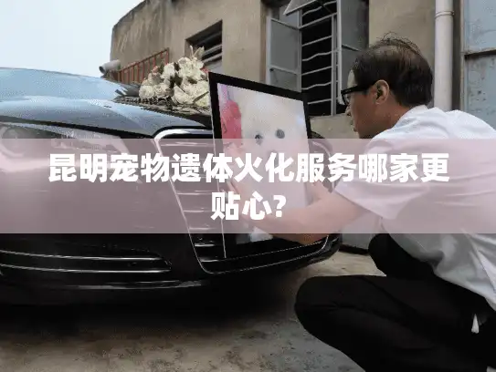 昆明宠物遗体火化服务哪家更贴心?