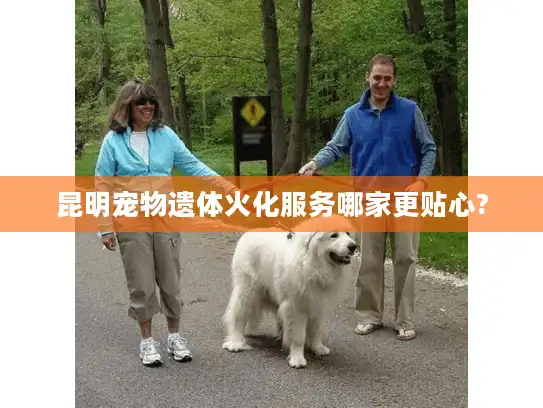 昆明宠物遗体火化服务哪家更贴心?