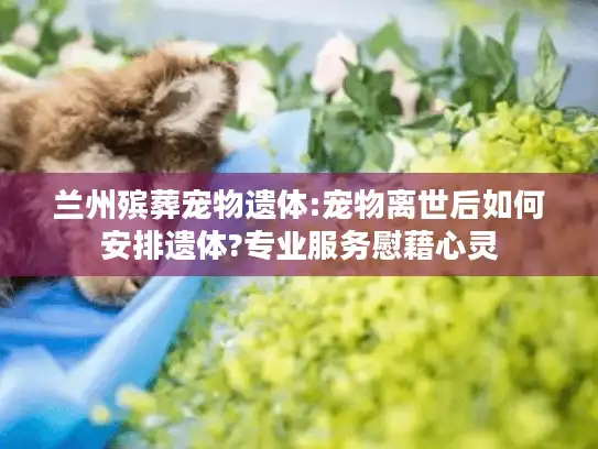 兰州殡葬宠物遗体:宠物离世后如何安排遗体?专业服务慰藉心灵