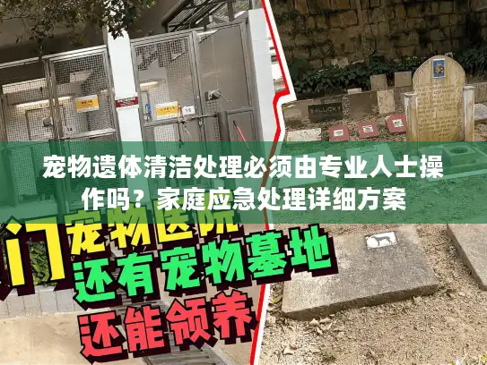 宠物遗体清洁处理必须由专业人士操作吗？家庭应急处理详细方案