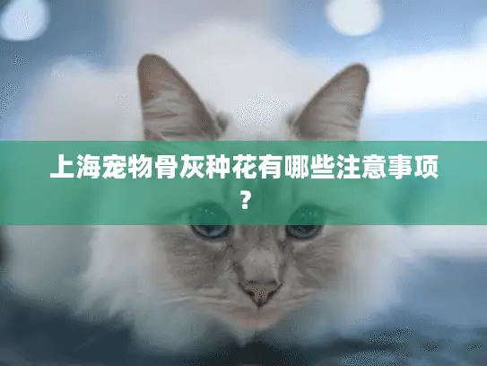 上海宠物骨灰种花有哪些注意事项？