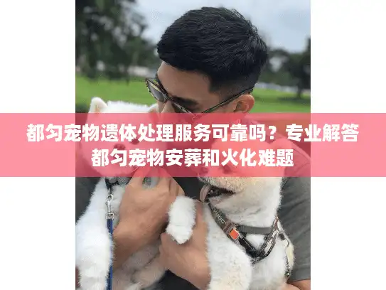 都匀宠物遗体处理服务可靠吗？专业解答都匀宠物安葬和火化难题