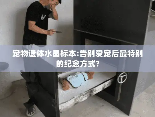 宠物遗体水晶标本:告别爱宠后最特别的纪念方式?