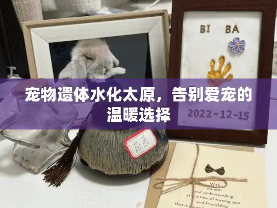 宠物遗体水化太原，告别爱宠的温暖选择