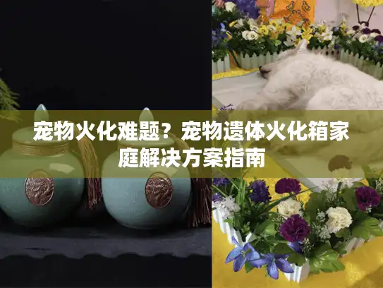 宠物火化难题？宠物遗体火化箱家庭解决方案指南