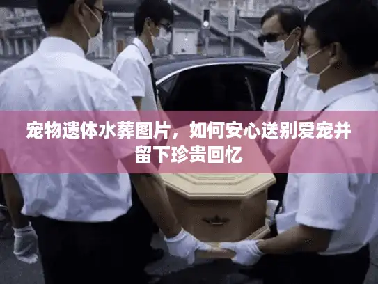 宠物遗体水葬图片，如何安心送别爱宠并留下珍贵回忆