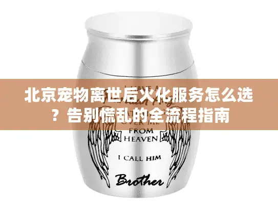 北京宠物离世后火化服务怎么选？告别慌乱的全流程指南