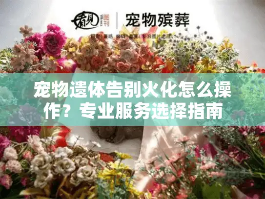 宠物遗体告别火化怎么操作？专业服务选择指南